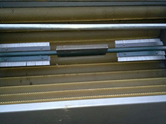 點擊查看詳細信息<br>標題：核桃清洗機 閱讀次數(shù)：2726