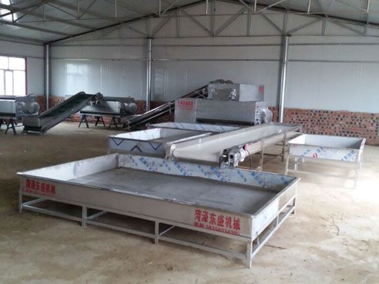 點擊查看詳細(xì)信息<br>標(biāo)題：蘿卜清洗機 閱讀次數(shù)：3365